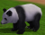 Panda.png