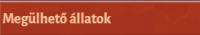 Hátasok.png