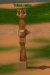 Totem.png