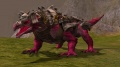 Radagor pink pancelos.jpg