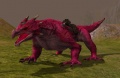 Radagor pink.jpg