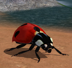 Coccinella.png