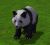 Duhodtpanda.png